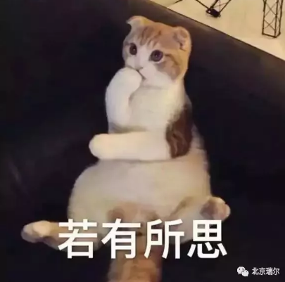 42.png 42.png